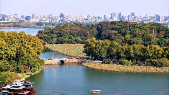 杭州官方發(fā)文：對(duì)新興領(lǐng)域企業(yè)，謹(jǐn)慎使用行政處罰等執(zhí)法措施