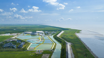 一以貫之推進(jìn)崇明世界級生態(tài)島建設(shè)走深走實(shí)！陳吉寧調(diào)研崇明區(qū)