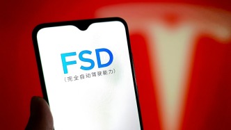 特斯拉FSD登陆欧洲，第一站为何是荷兰？