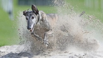 專業(yè)組 | 2026年索尼世界攝影大賽（體育運(yùn)動(dòng)類）入圍作品（上）