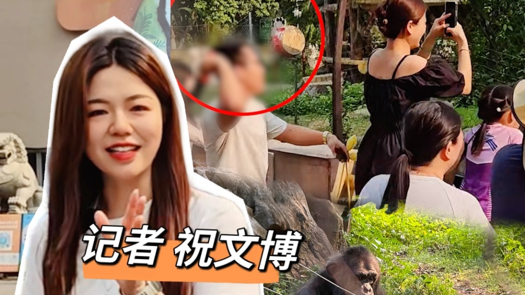 博闻丨“丢那猩”走红之后：游客无视禁令投喂，园区监管亟待补上
