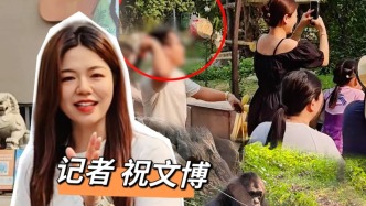 博闻丨“丢那猩”走红之后：游客无视禁令投喂，园区监管亟待补上
