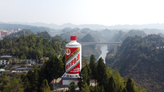 贵州茅台：聘任余思明为财务总监，代行董秘职责