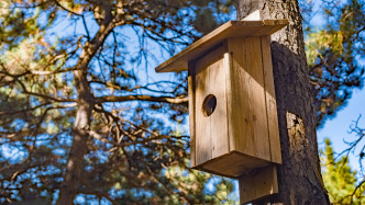 人民日?qǐng)?bào)再評(píng)中學(xué)“拒拆鳥(niǎo)巢”：平凡小事，為何能觸動(dòng)萬(wàn)千網(wǎng)友？