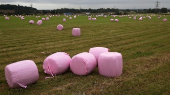 乳腺癌找上00后？這些事女性都該了解｜健康有方FM