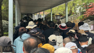 河南省一景區(qū)現(xiàn)工作日限流，中午官方即公告售票數(shù)量達(dá)到上限