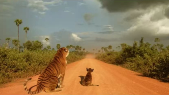 野性的邊界：人與虎跨越三百年的生存爭奪