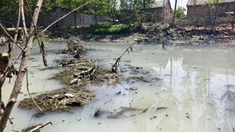 馬上看丨山東臨沂一鄉(xiāng)村河道變“牛奶河”：水體發(fā)白，氣味刺鼻