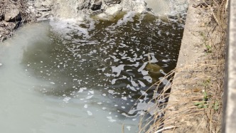 馬上看丨山東臨沂一鄉(xiāng)村河道遭排污：水體黑白分層，氣味刺鼻