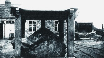 環(huán)球時報社評：文物返還，法國的做法值得日本學習