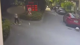 女子稱舉報虐貓者反遭“開盒”“造黃謠”，已向兩地派出所報案
