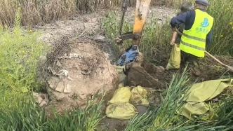 澎湃回声｜乡村河道成“牛奶河”，山东临沂回应：沿线管网破损溢流所致，正抢修