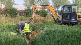 澎湃回聲｜山東臨沂正對“牛奶河”進(jìn)行處置，初步判斷系沿線管網(wǎng)破損溢流所致