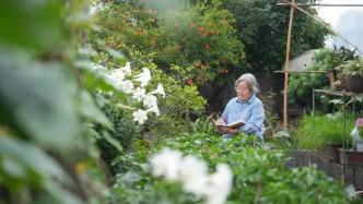 获安徒生奖之后：从月销0到加印破万，蔡皋终于抵达大众