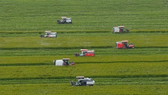国家发改委：确保粮食、能源这两个饭碗牢牢端在自己手中