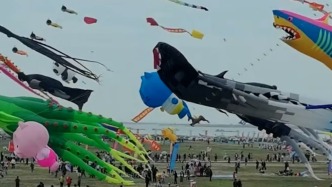 1252只風(fēng)箏同場(chǎng)競(jìng)技，濰坊上演“萬物飛天”名場(chǎng)面