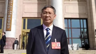 「鄉(xiāng)村振興」魏后凱：以質(zhì)量提升為主線 繪就“十五五”新型城鎮(zhèn)化新藍(lán)圖