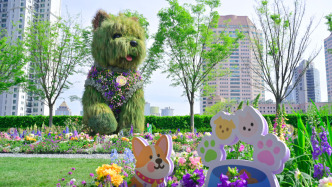 首屆靜安國際花卉展明天開幕，不只有5米高的“潦草小狗”