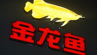 金龙鱼去年归母净利润31.53亿元，同比增长26.01%