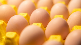 環(huán)保新規(guī)推高養(yǎng)雞成本致蛋價上漲？系謠言！