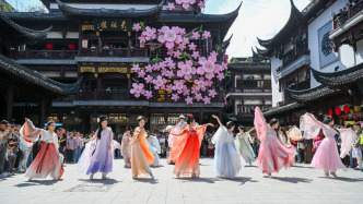 魔都眼｜賞花亦是讀城！國際花卉節(jié)大豫園開啟“時(shí)空花旅”