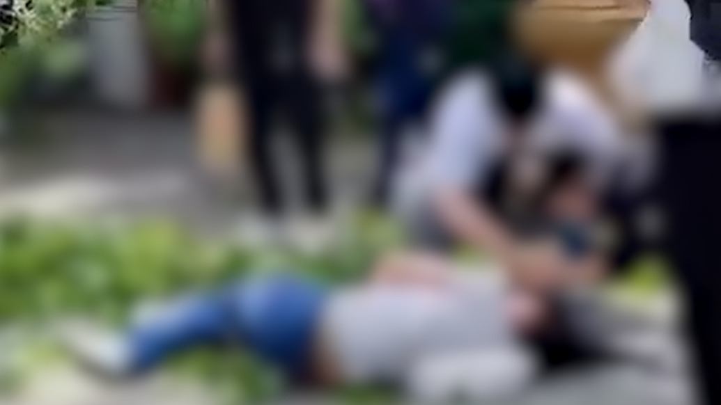 开封万岁山武侠城被曝大树倾倒砸中游客，景区：已有专人对接处理