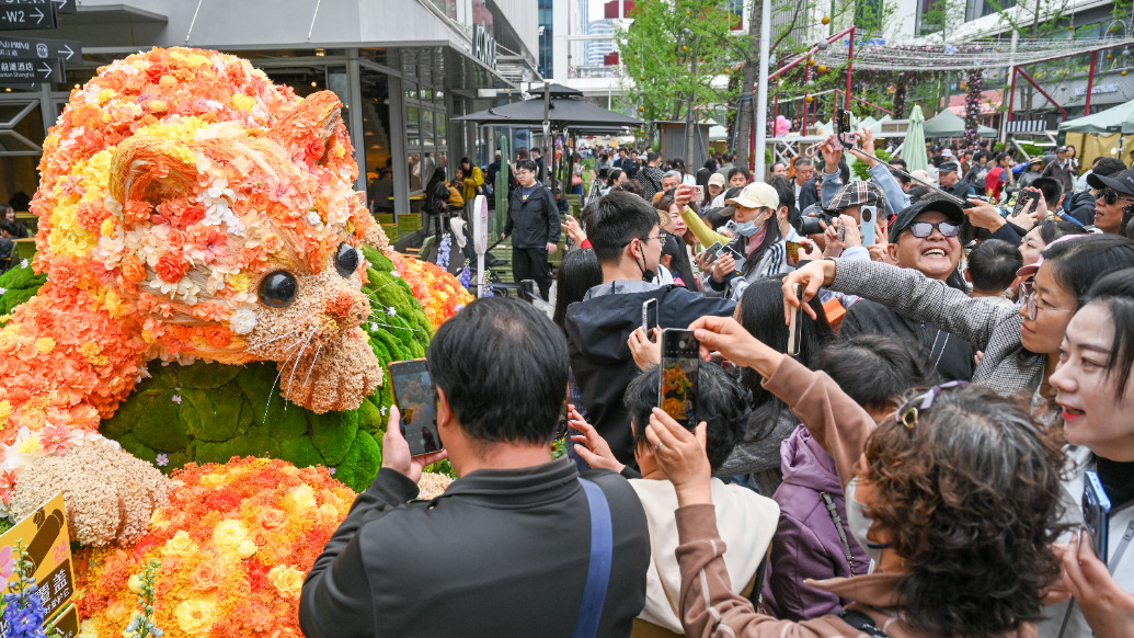 魔都眼｜花满申城，花卉节开幕首个周末你去看花（人）了吗