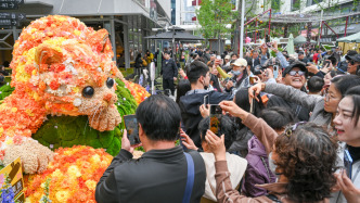 魔都眼｜花满申城，花卉节开幕首个周末你去看花（人）了吗