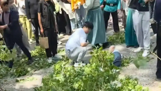 开封万岁山武侠城通报“树枝断裂致三名游客轻伤”：因突发大风引发