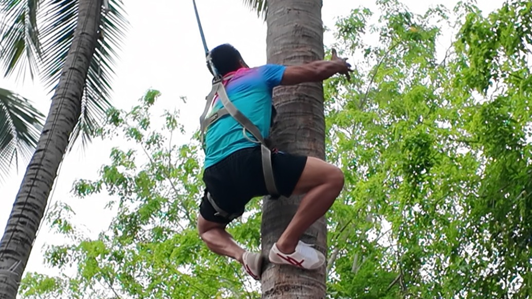 中国好赛来｜直击海南“三月三”攀椰大赛：看谁才是真“攀爬之王”