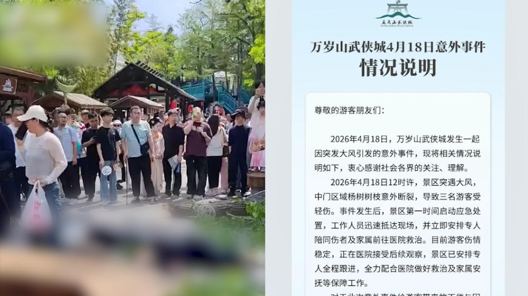 万岁山武侠城致歉：突发大风致杨树枝意外断裂，3名游客受轻伤