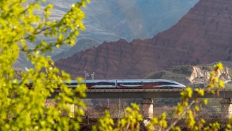 105.6萬(wàn)張火車(chē)票被拒絕出票！媒體：用科技鷹眼讓搶票黃牛無(wú)計(jì)可施