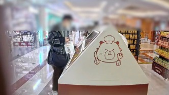 情侣利用店铺展示漏洞偷走上千个玩偶，涉案近3万元被刑拘