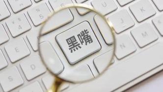 嚴(yán)懲“網(wǎng)絡(luò)黑嘴”造謠詆毀，最高法例舉涉胖某公司案件