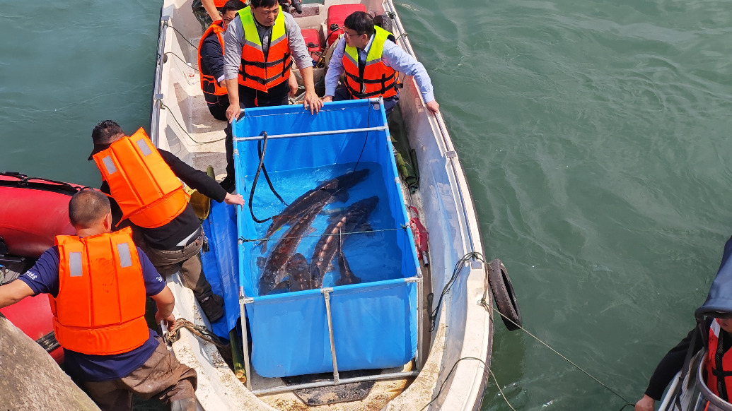 构建“水陆空”立体巡防体系，长航公安泸州分局护航长江鲟“回家路”