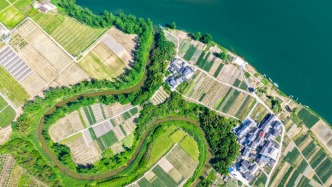 報告預計：今年我國糧食和重要農(nóng)產(chǎn)品穩(wěn)產(chǎn)保供能力進一步夯實