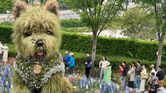 “潦草小狗”綠植雕塑刷屏，花園景觀如何從“顏值”走向“產(chǎn)值”？