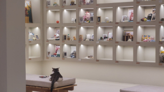 專訪｜王英豪：寵物殯葬本質(zhì)上是情感服務(wù)，門檻低天花板高