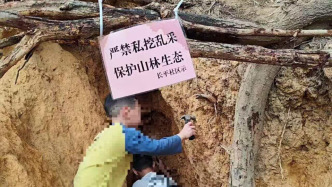 广州暹岗大山被非法开挖水晶：山体有遭破坏痕迹，相关部门调查取证