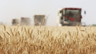 農(nóng)業(yè)農(nóng)村部報(bào)告：預(yù)測2026年我國糧食單產(chǎn)將提高到400千克每畝