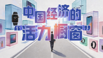 中国经济的“活力橱窗”丨喻见中国经济
