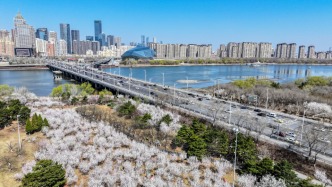 遼寧一季度GDP7788億元，同比增長2.8%