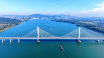 五年！头雁、群雁、黑马，浙江富阳这个产业集群正逐步兴起