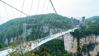 張家界悅讀共創(chuàng)大會(huì)開(kāi)幕：中外名流云集 峽谷變“山水書(shū)院”