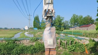 電線裸露致蝦田主雇2人觸電身亡，家屬稱上個(gè)月曾報(bào)修未獲處理