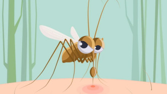 科学防制病媒生物，筑牢健康防线丨爱国卫生月