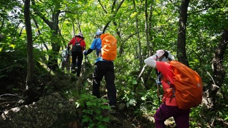 自然保護(hù)區(qū)核心區(qū)徒步、露營皆違法！新版條例實(shí)施首月已開罰單