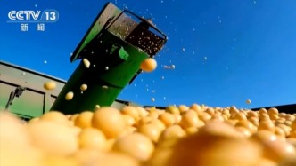 一季度農(nóng)業(yè)農(nóng)村經(jīng)濟向穩(wěn)向好迎來“開門紅” 鄉(xiāng)村全面振興再提速