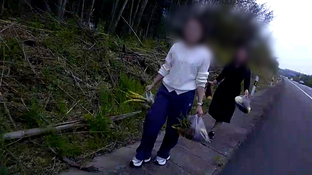 “你們心真大”，交警發(fā)現(xiàn)司機在高速上違停帶車上兩人去挖筍