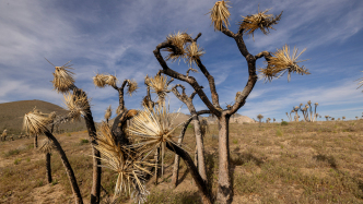 气候资讯｜4月全球前沿气候科学研究&极端天气气候事件
